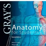 Gray’s Anatomy for Students, 2nd Edition with STUDENT CONSULT Access