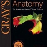 Gray’s Anatomy: The Anatomical Basis of Clinical Practice, 40th Edition with Expert Consult – Online and Print