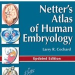 Netter’s Atlas of Human Embryology, Updated Edition, with Student Consult Online Access