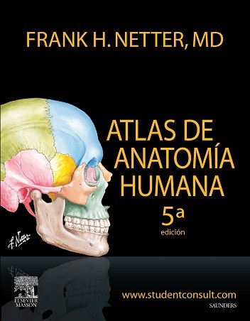 Atlas de antomia humana 5