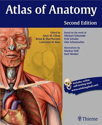 Atlas of anatomy 2nd
