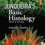 Junqueira’s Basic Histology: Text and Atlas, 12th Edition