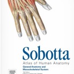 Sobotta Atlas of Anatomy, Volume 1: General Anatomy and Musculoskeletal System, 15th Edition