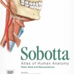 Sobotta Atlas of Anatomy, Volume 3: Head, Neck and Neuroanatomy, 15th Edition