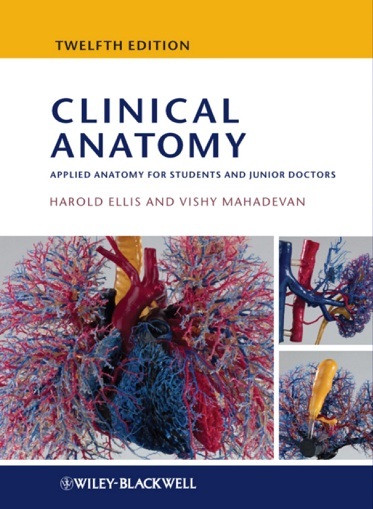 Clinical Anatomy 12