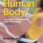 The Human Body: Concepts of Anatomy and Physiology, 3rd Edition