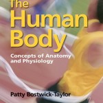 Student Notebook and Study Guide to Accompany The Human Body: Concepts of Anatomy and Physiology, 3rd Edition