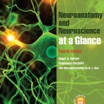 Neuroanatomy and Neuroscience at a Glance, 4th Edition