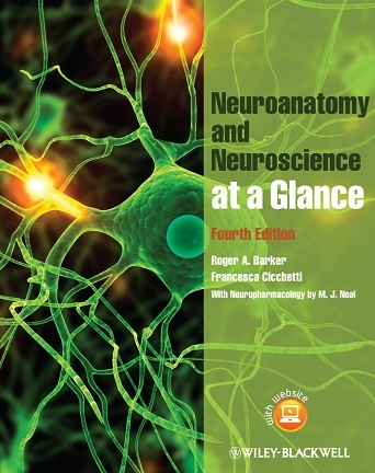 Neuroanatomy and Neuroscience at a glance 4