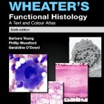 Wheater’s Functional Histology: A Text and Colour Atlas, 6th Edition (With STUDENT CONSULT Online Access)