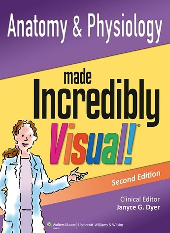 Anatomy Physiology made incredibly visual