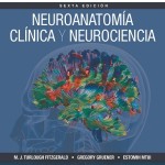 Neuroanatomía clínica y neurociencia, 6ª Edición