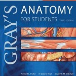 Gray’s Anatomy for Students, 3rd Edition With STUDENT CONSULT Online Access