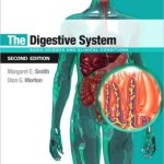 The Digestive System: Systems of the Body Series Edition 2
