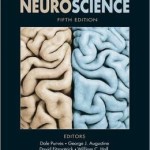 Neuroscience Edition 5