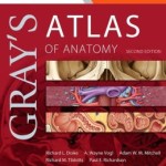 Gray’s Atlas of Anatomy: with STUDENT CONSULT Online Access 2nd Edition