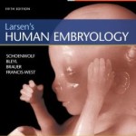 Larsen’s Human Embryology 5th Edition