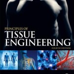 Principles of Tissue Engineering 4th Edition