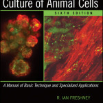 Culture of Animal Cells  : A Manual of Basic Technique and Specialized Applications