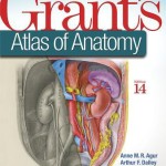 Grant’s Atlas of Anatomy, 14th Edition