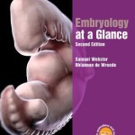Embryology at a Glance, 2nd Edition