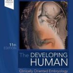 The Developing Human : Clinically Oriented Embryology