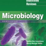 Lippincott(r) Illustrated Reviews  :  Microbiology