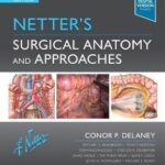 Netter’s Surgical Anatomy and Approaches