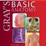 Gray’s Basic Anatomy with STUDENT CONSULT Online Access