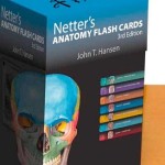 Netter’s Anatomy Flash Cards, 3rd Edition with Online Student Consult Access