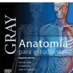 GRAY. Anatomía para estudiantes, 2ª Edición