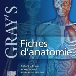 Gray’s Fiches d’anatomie
