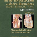 The Netter Collection of Medical Illustrations: Musculoskeletal System, Volume 6, Part II – Spine and Lower Limb, 2nd Edition