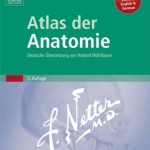 Atlas der Anatomie: Deutsche Übersetzung von Roland Mühlbauer, 5. Auflage 