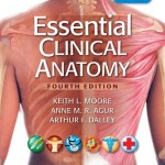 Essential Clinical Anatomy, 4th Edition