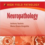 Neuropathology: A Volume in the High Yield Pathology Series (Expert Consult – Online and Print)