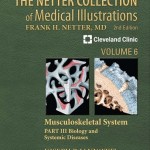 The Netter Collection of Medical Illustrations, Volume 6: Musculoskeletal System, Part III – Biology and Systemic Diseases, 2nd Edition