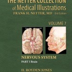 The Netter Collection of Medical Illustrations: Nervous System, Volume 7, Part 1 – Brain, 2nd Edition