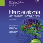 Neuroanatomia: con riferimenti funzionali e clinici, 6ª Edizione