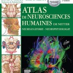 Atlas de neurosciences humaines de Netter: Neuroanatomie-Neurophysiologie, 2ème édition