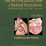 The Netter Collection of Medical Illustrations Volume 8 Cardiovascular System, 2nd Edition