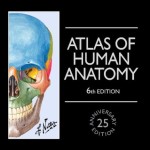 Atlas of Human Anatomy, 6th Edition