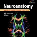 Neuroanatomy: an Illustrated Colour Text: With Student Consult Access 5th Edition