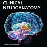 Clinical Neuroanatomy Edition 27