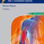 Color Atlas of Human Anatomy: Vol. 1: Locomotor System