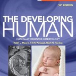 The Developing Human: Clinically Oriented Embryology, 10th Edition