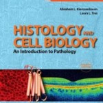 Histology and Cell Biology: An Introduction to Pathology, 4th Edition