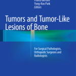 Tumors and Tumor-Like Lesions of Bone                                                    :                             For Surgical Pathologists, Orthopedic Surgeons and Radiologists