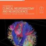 Fitzgerald’s Clinical Neuroanatomy and Neuroscience, 7th Edition