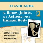 Flashcards for Bones, Joints, and Actions of the Human Body